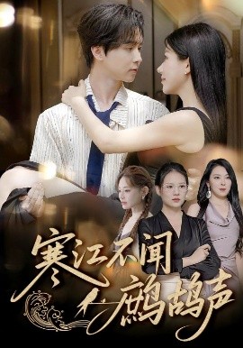 寒江不聞鷓鴣聲