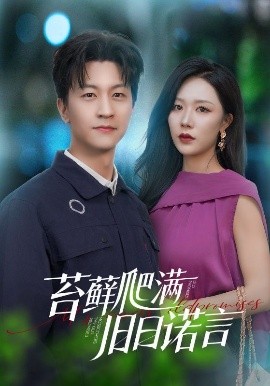 苔蘚爬滿舊日諾言