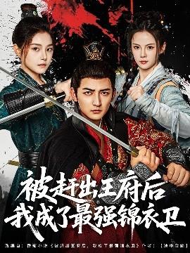 被趕出王府后我成了最強錦衣衛(wèi)