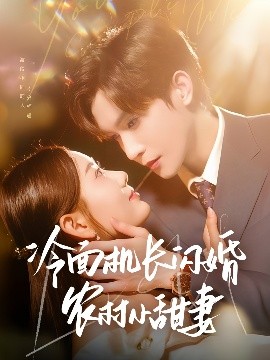 冷面機長閃婚農(nóng)村小甜妻