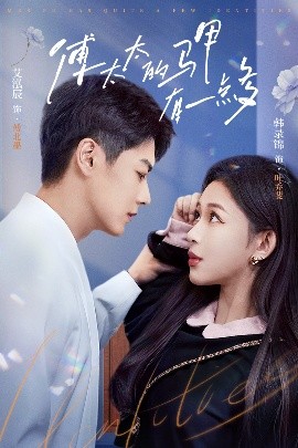 傅太太的馬甲有一點多