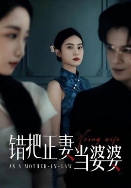 錯把正妻當婆婆