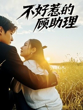 不好惹的顧助理