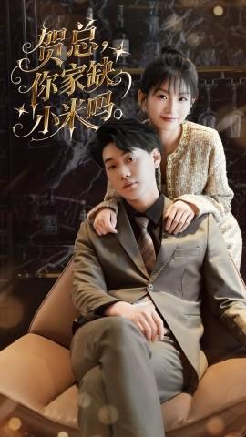 賀總你家缺小米嗎