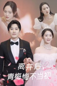 離開后青梅悔不當初