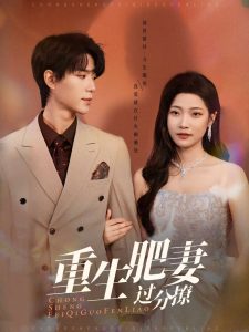 重生肥妻過分撩