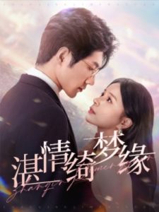 沉淪湛情琦夢緣