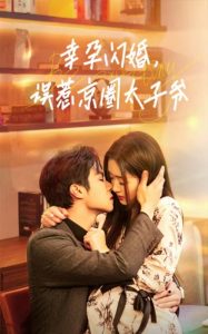 幸孕閃婚，誤惹京圈太子爺