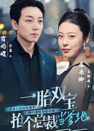 一胎雙寶，搶個總裁當爹地