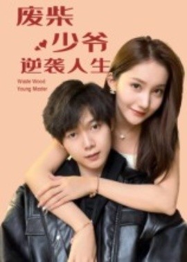 廢柴少爺的逆襲人生