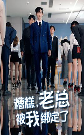 糟糕老總被我綁定了