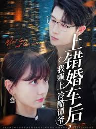 上錯婚車后我賴上冷酷譚爺
