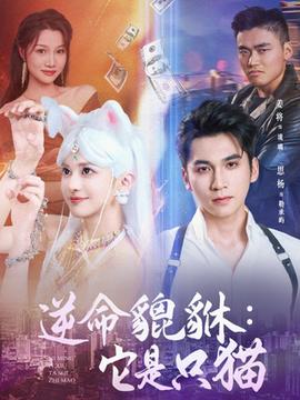 逆命貔貅它是只貓