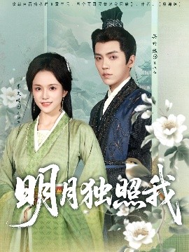 明月獨(dú)照我
