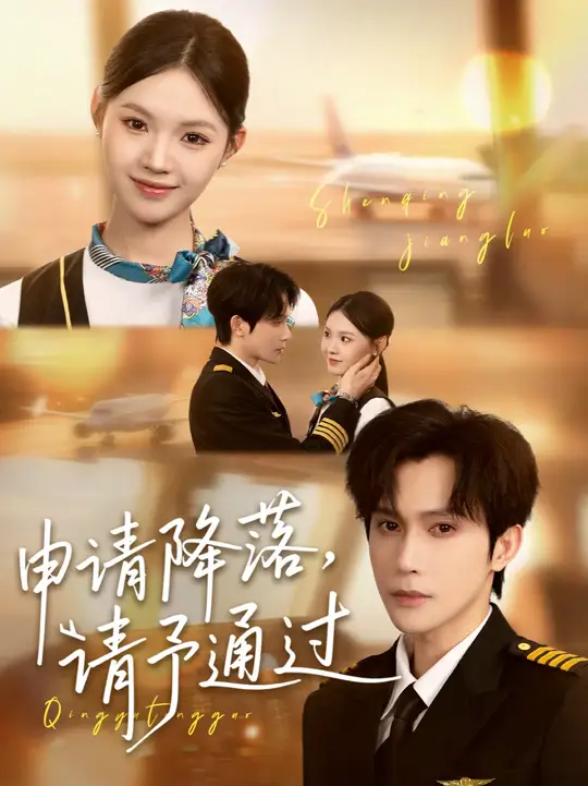 申請降落請予通過