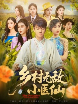 鄉村無敵小醫仙